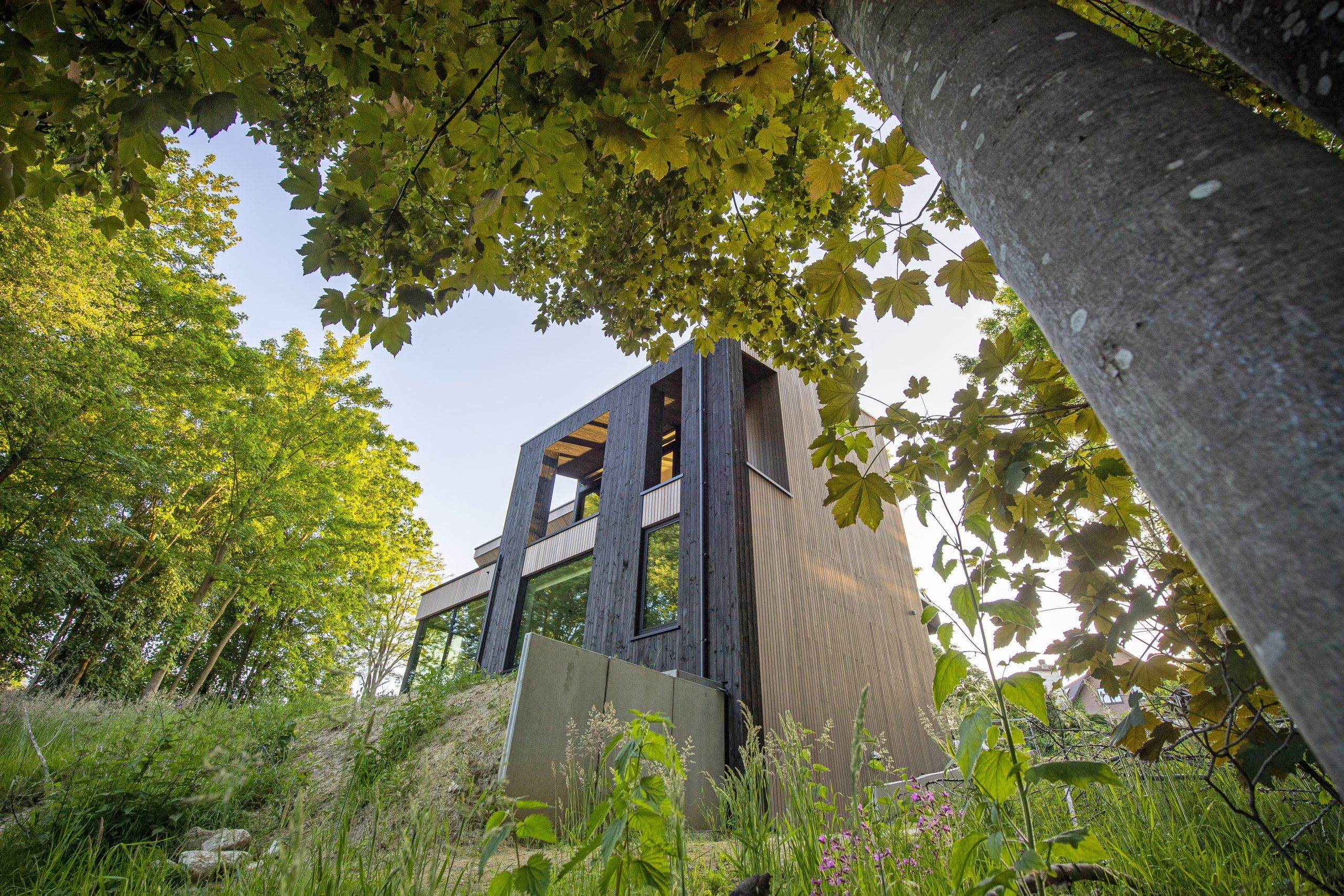 Architecte contemporain